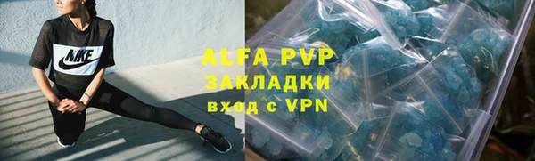 ГАЛЛЮЦИНОГЕННЫЕ ГРИБЫ Беломорск