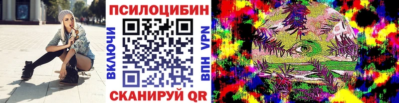 Купить  Сельцо  Галлюциногенные грибы мицелий 